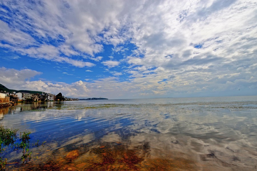 DSC_5178-2.jpg