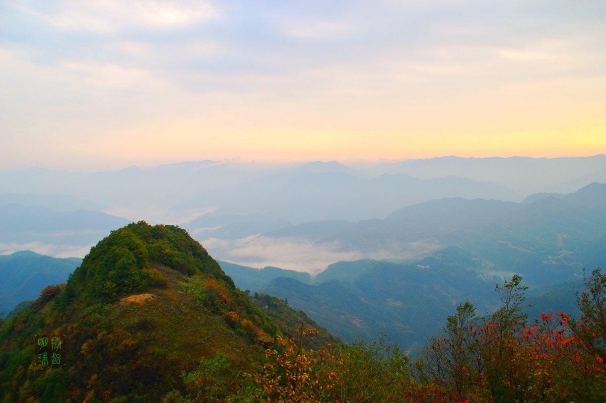 DSC_0260_副本.JPG