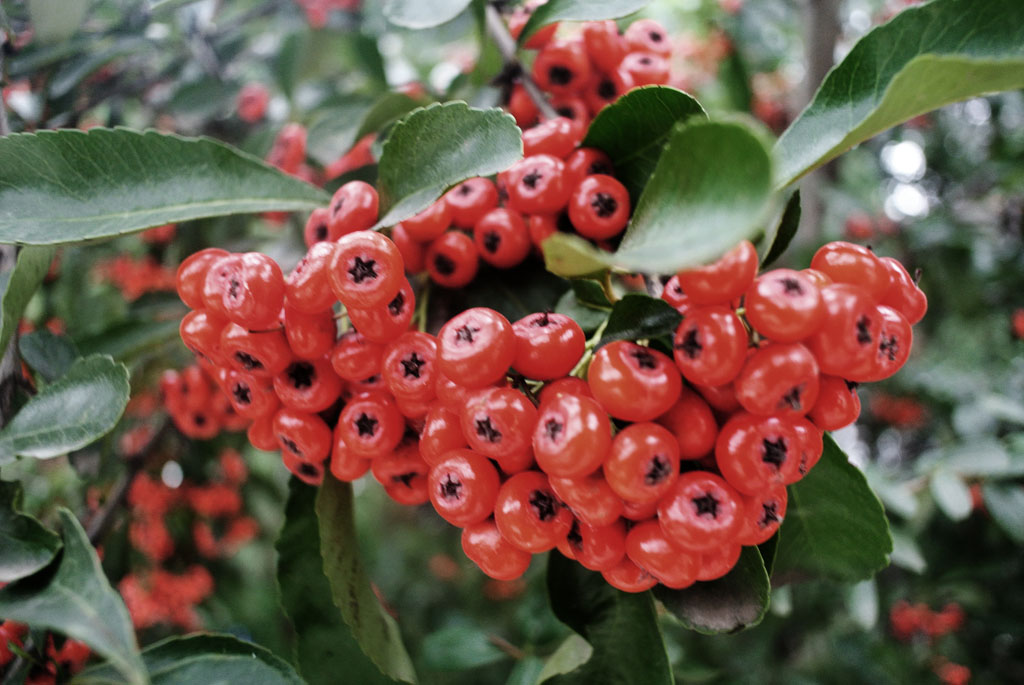 DSC_6199副本.jpg