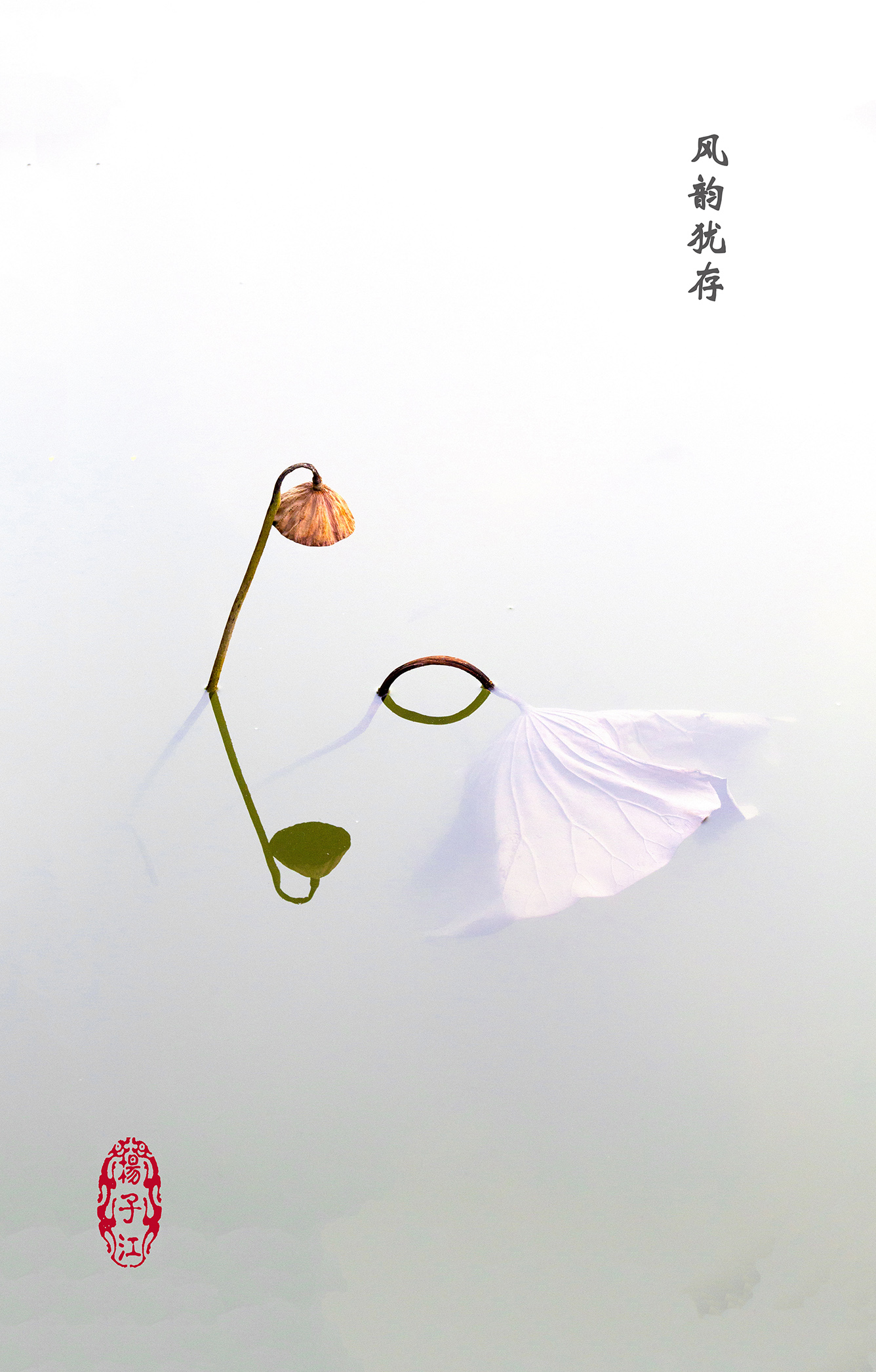 残韵8M.jpg