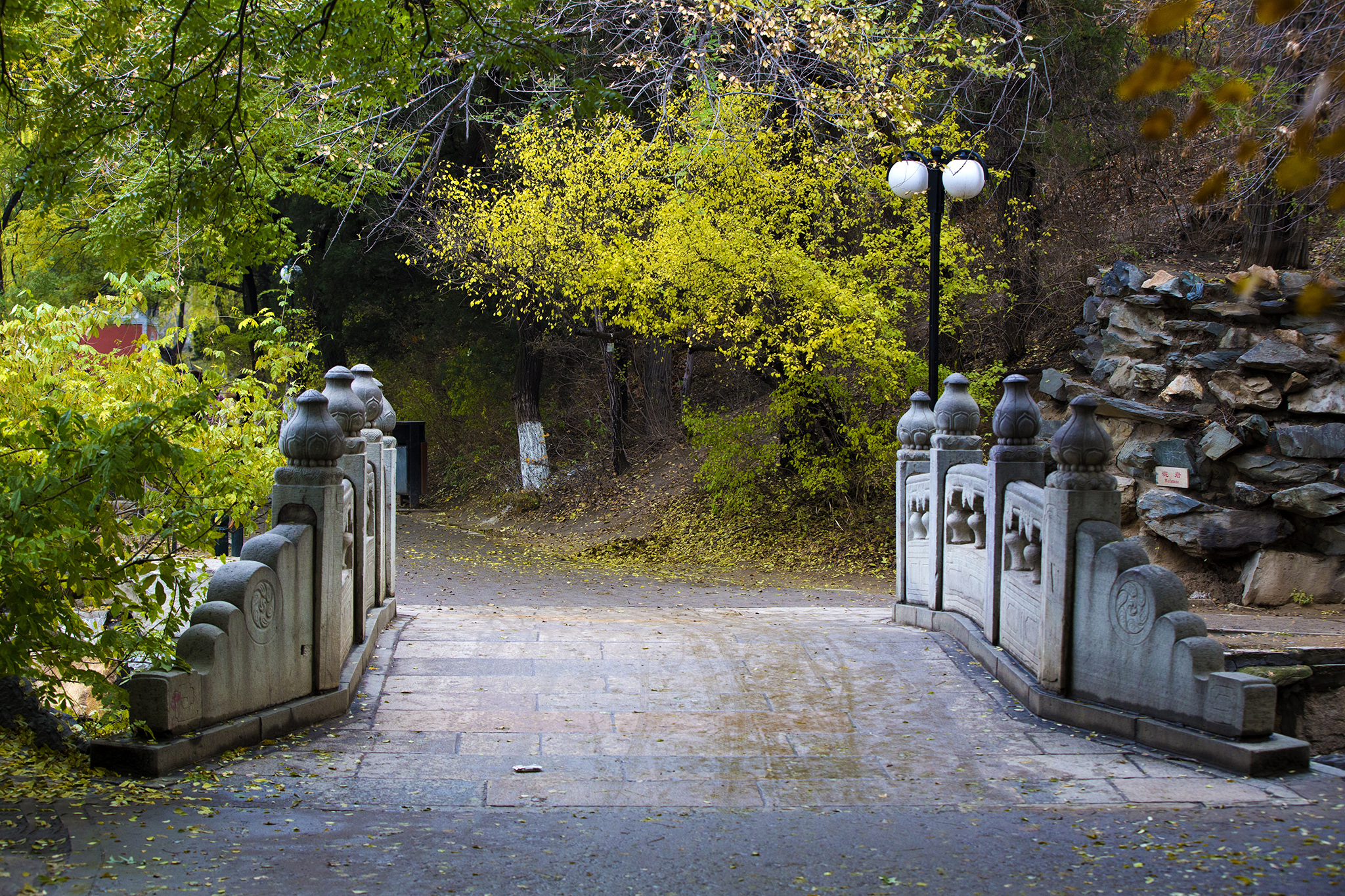 AR4A8389 拷贝.jpg