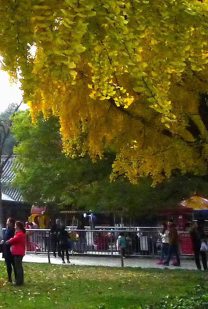 P11209280.jpg
