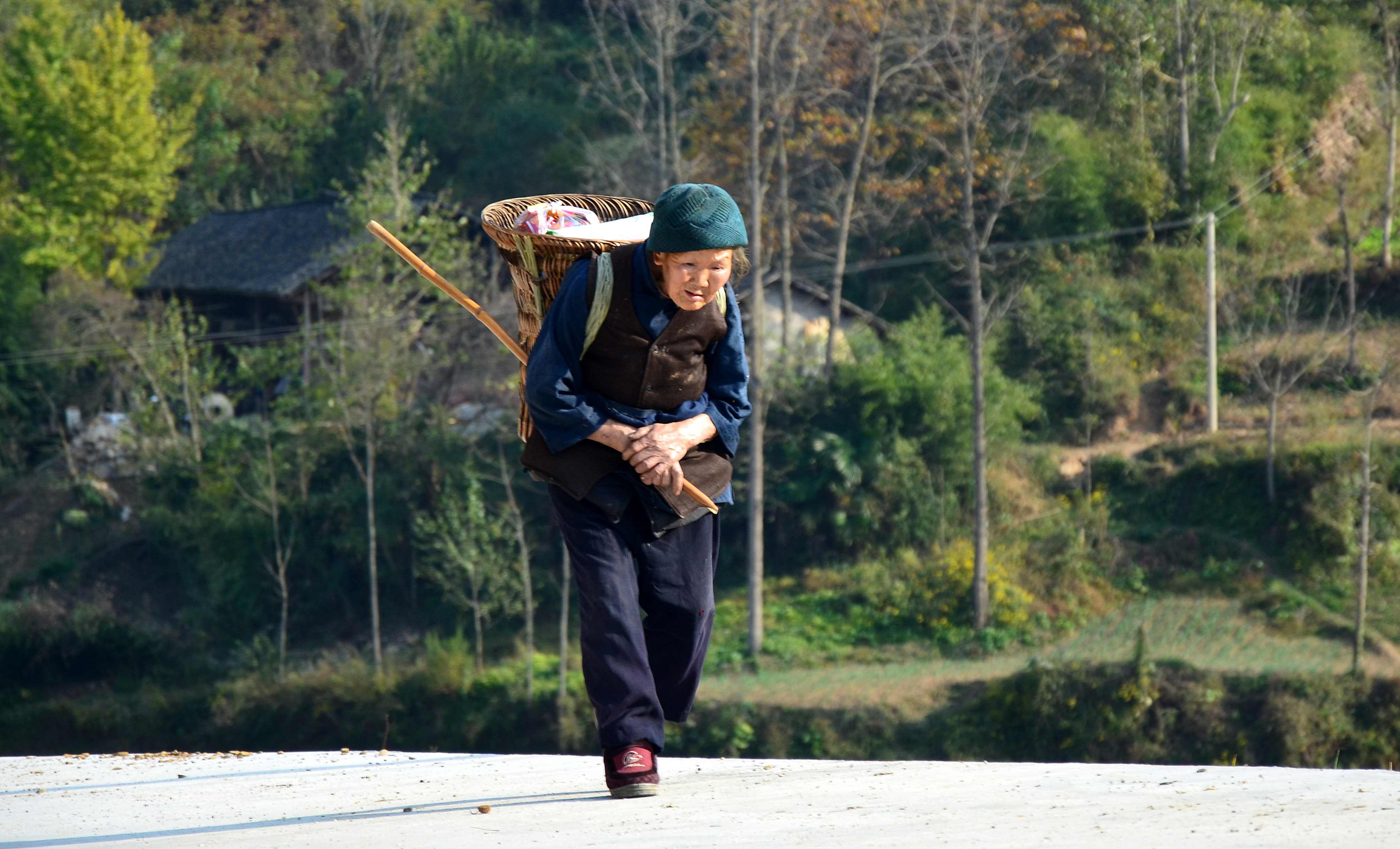 DSC_0221_副本.jpg