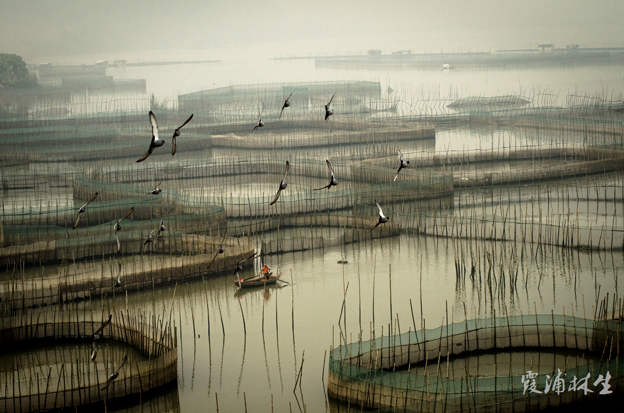 ECO_3943.jpg