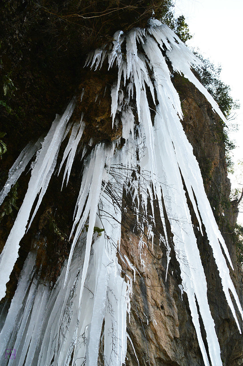 DSC_3920.JPG