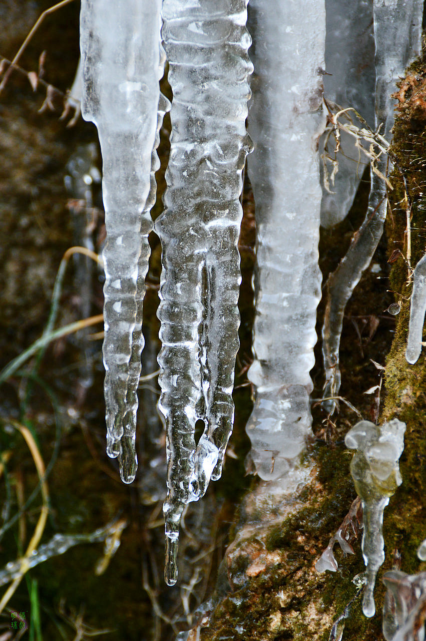 DSC_3941.JPG