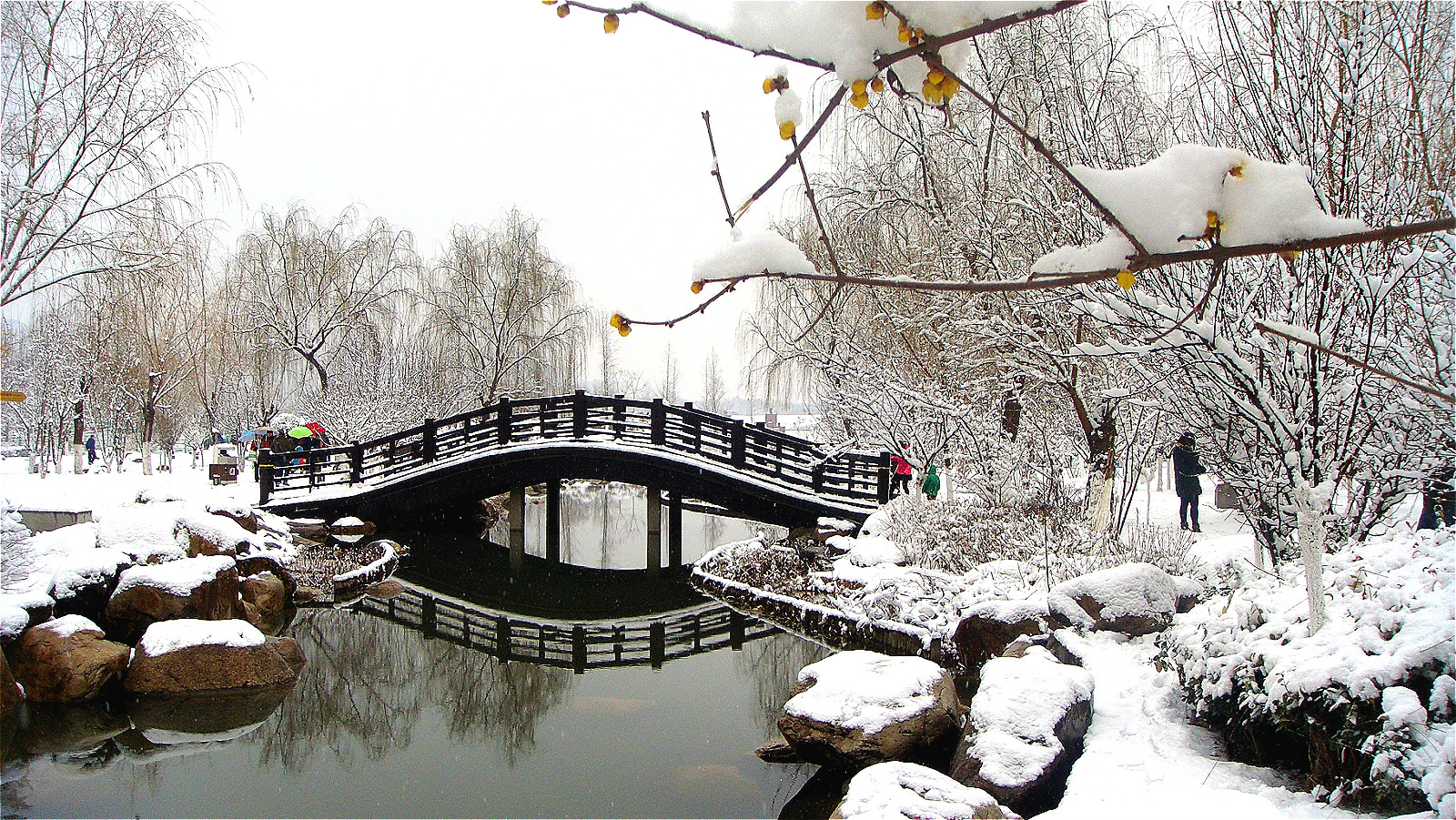 DSC04965_meitu_71.jpg