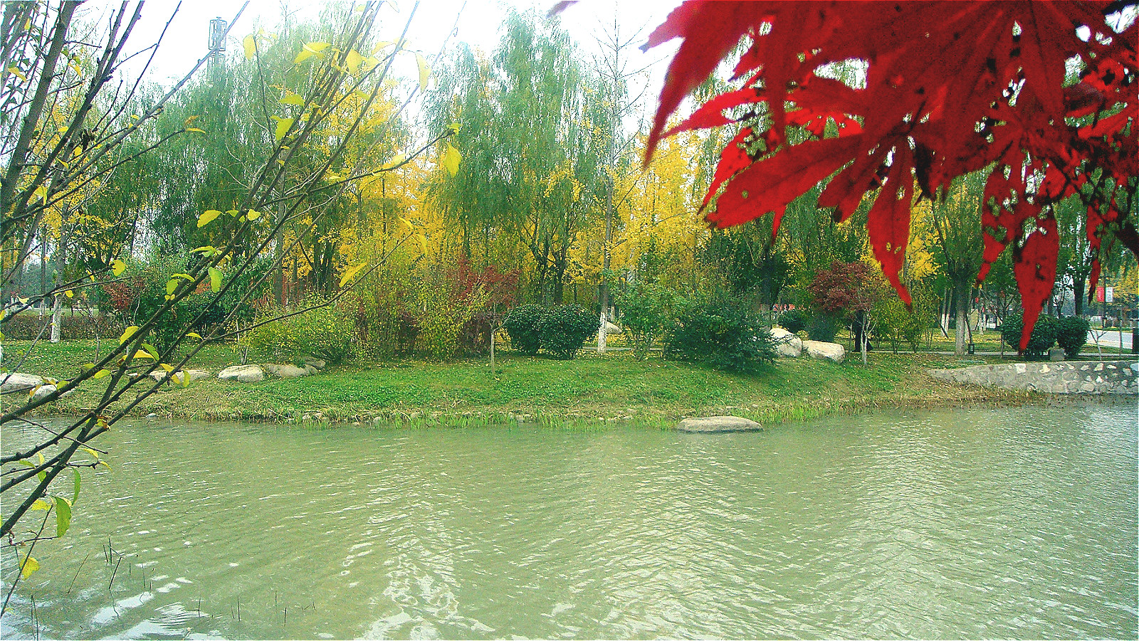 DSC02060_meitu_58.jpg