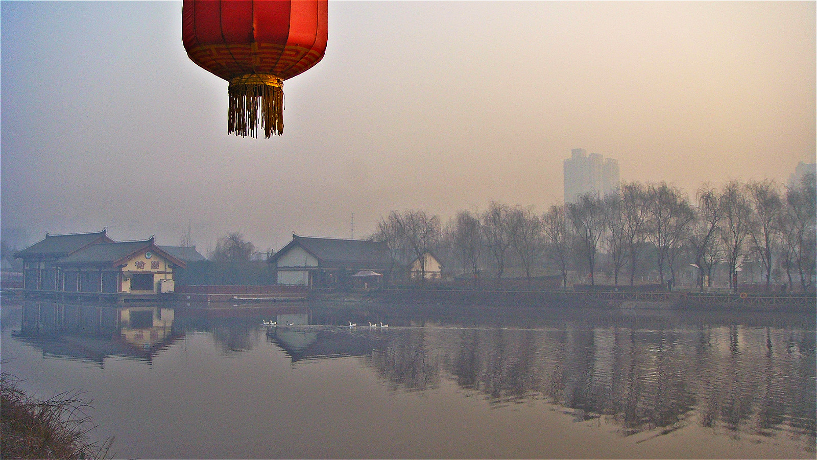DSC03615_meitu_21.jpg