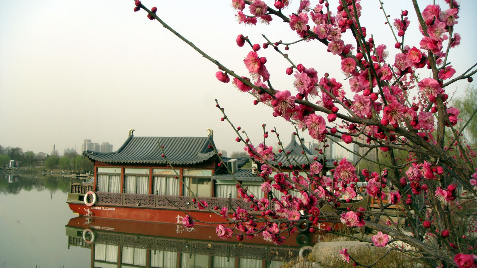DSC06264_meitu_54.jpg