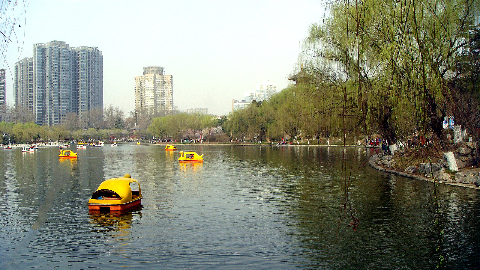 DSC06496_meitu_91.jpg