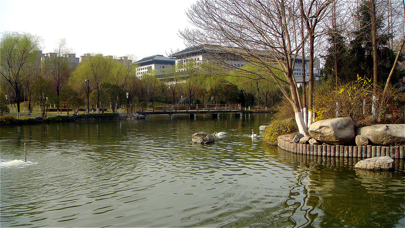 DSC07062_meitu_26.jpg