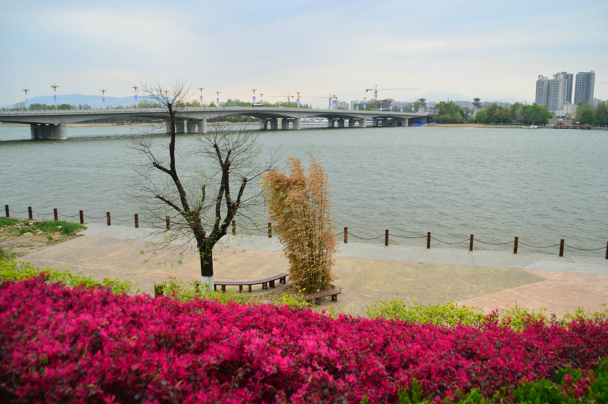 DSC_4831_副本.JPG