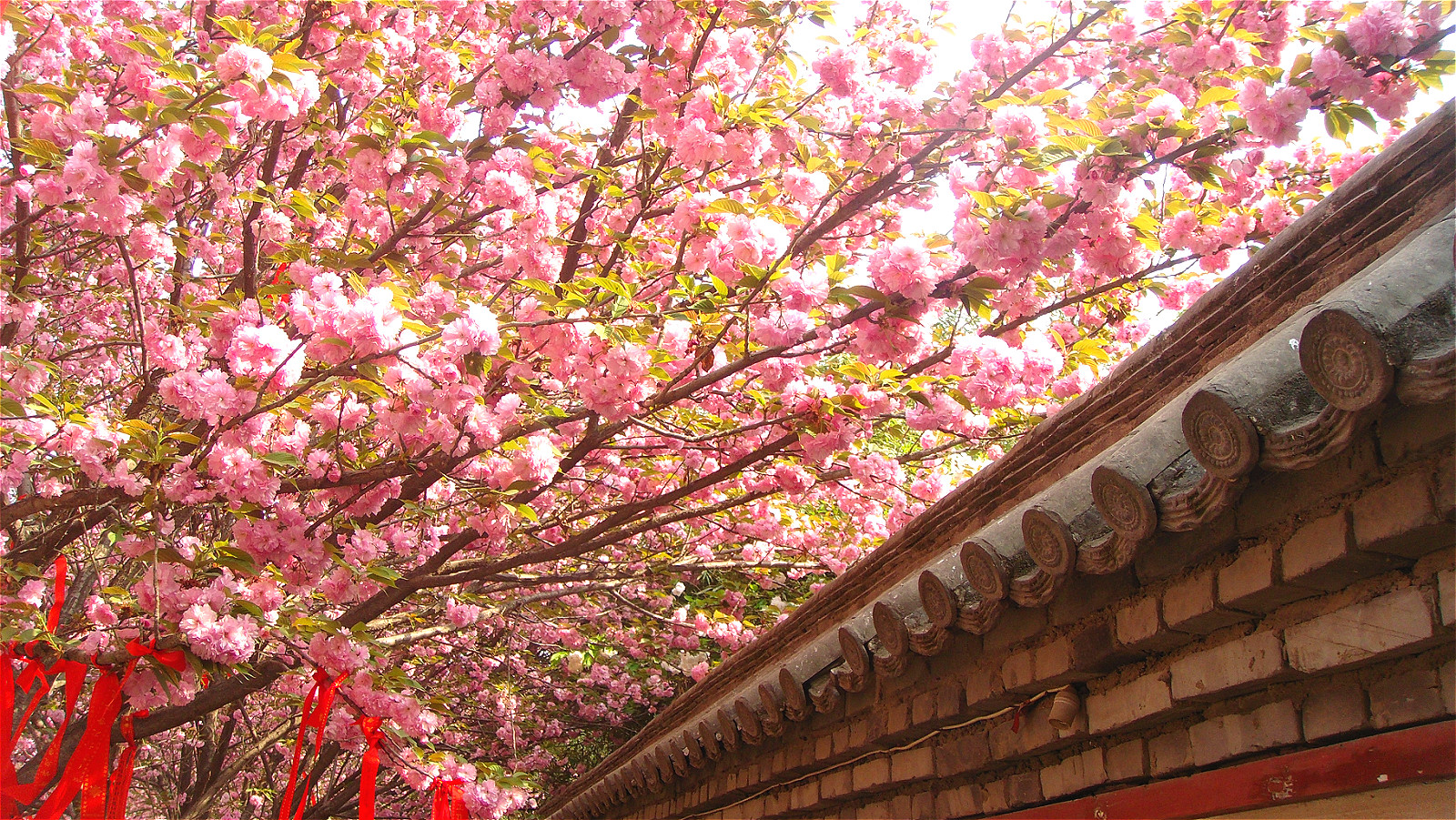 DSC09145_meitu_75.jpg