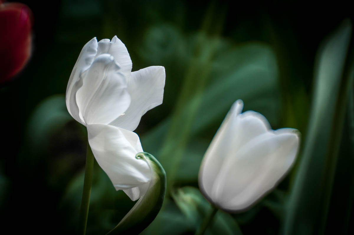 _DSC6766.jpg