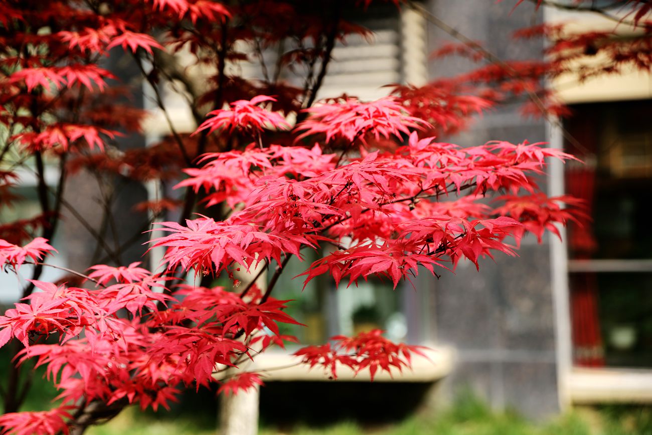 IMG_5016_副本.jpg