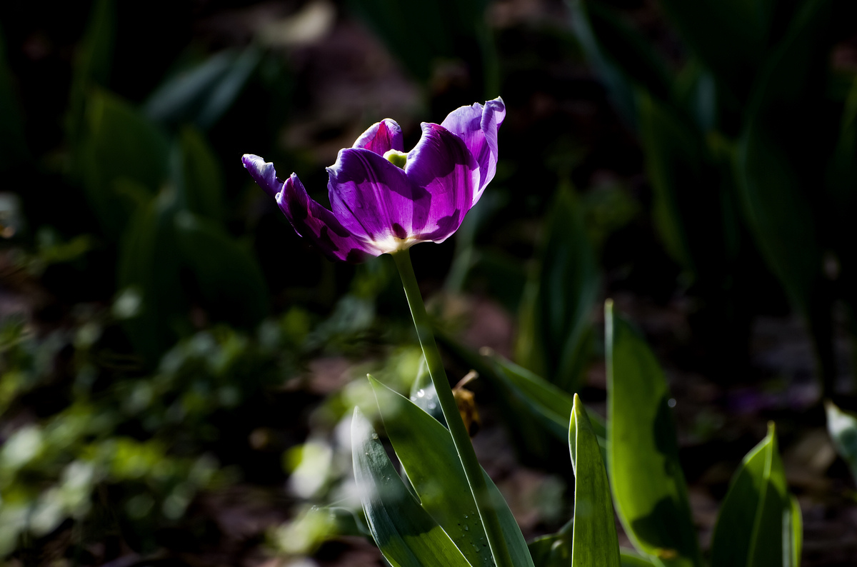 nEO_IMG_DSC_5576.jpg