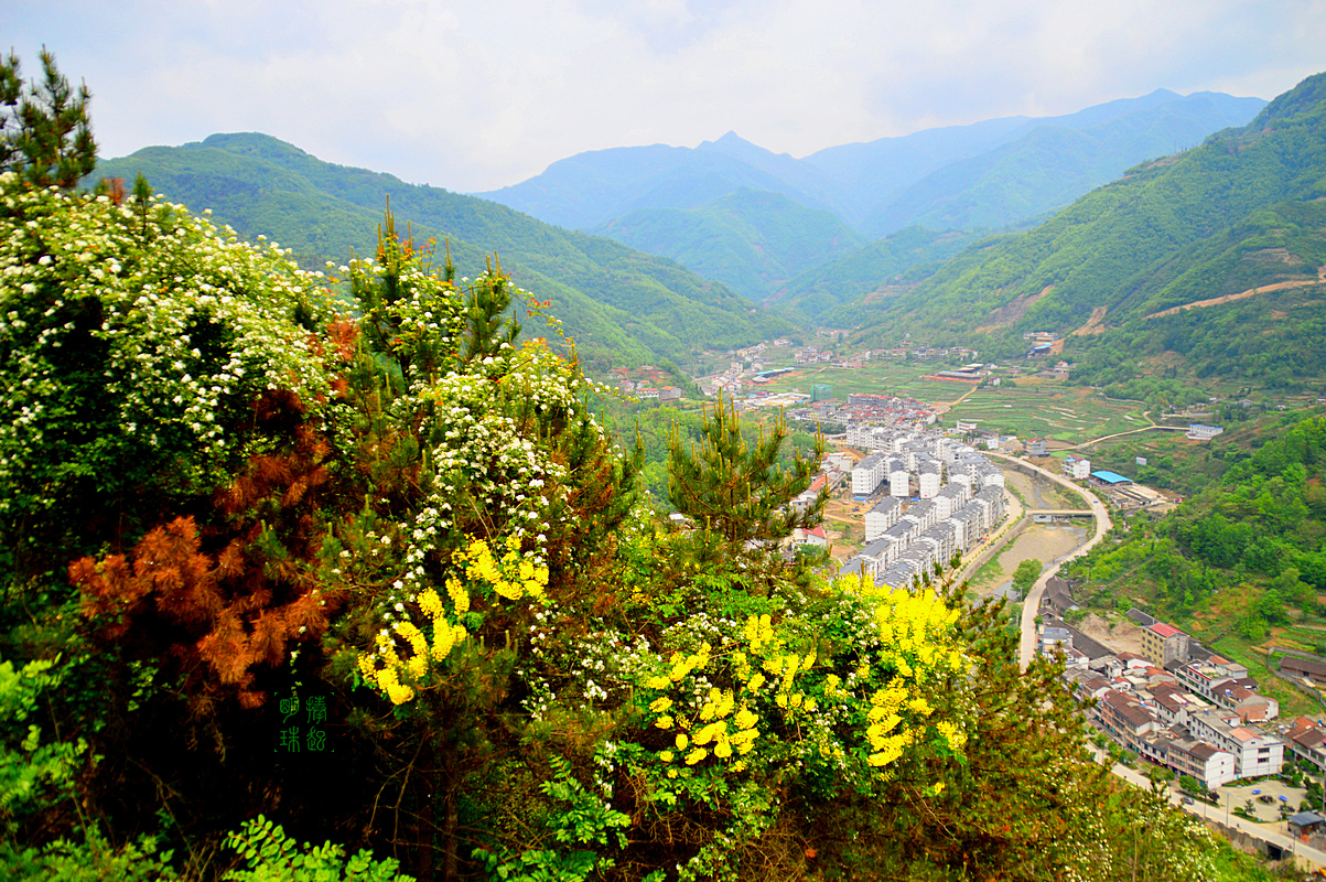 DSC_6624_副本.JPG