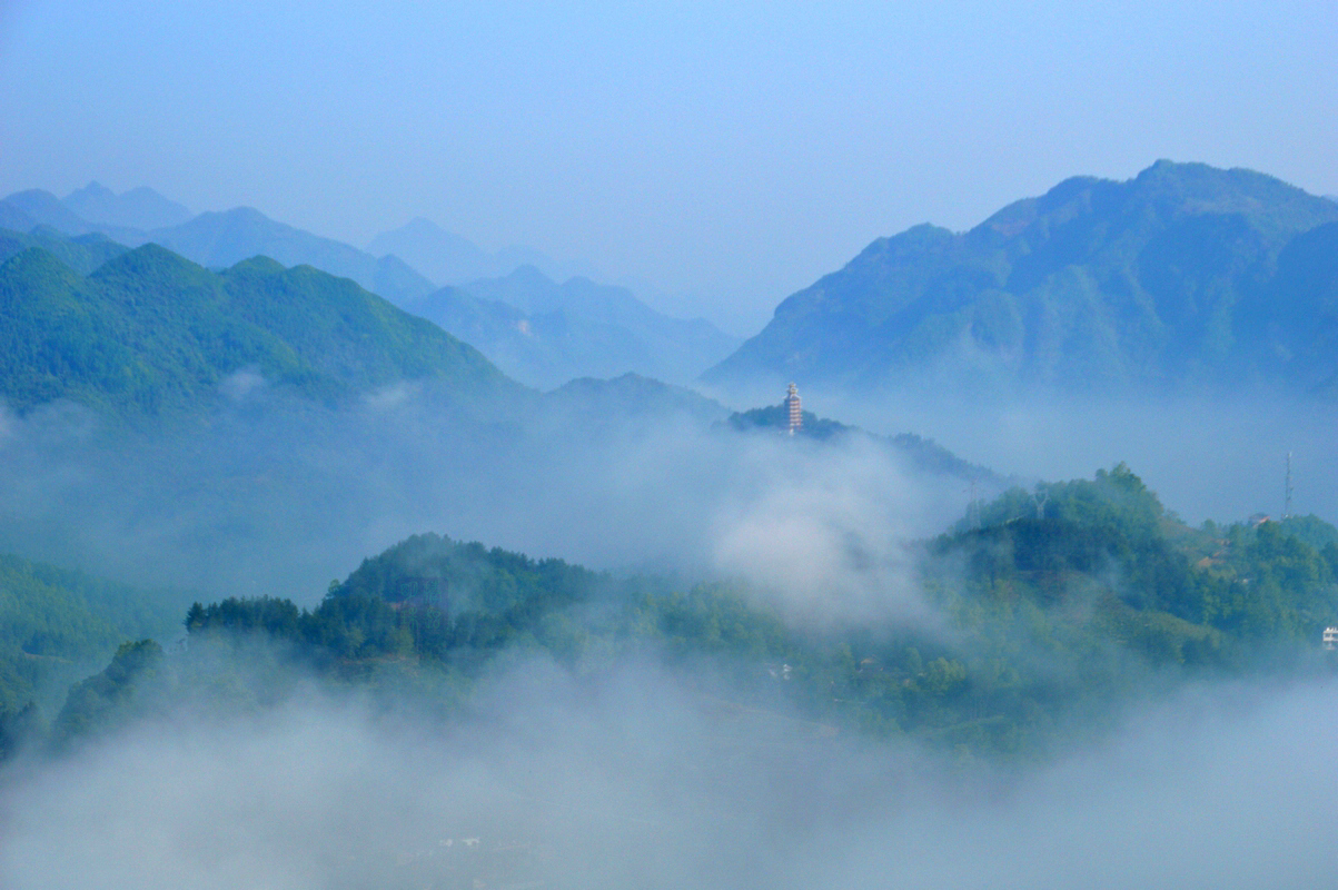 DSC_6737_副本.JPG