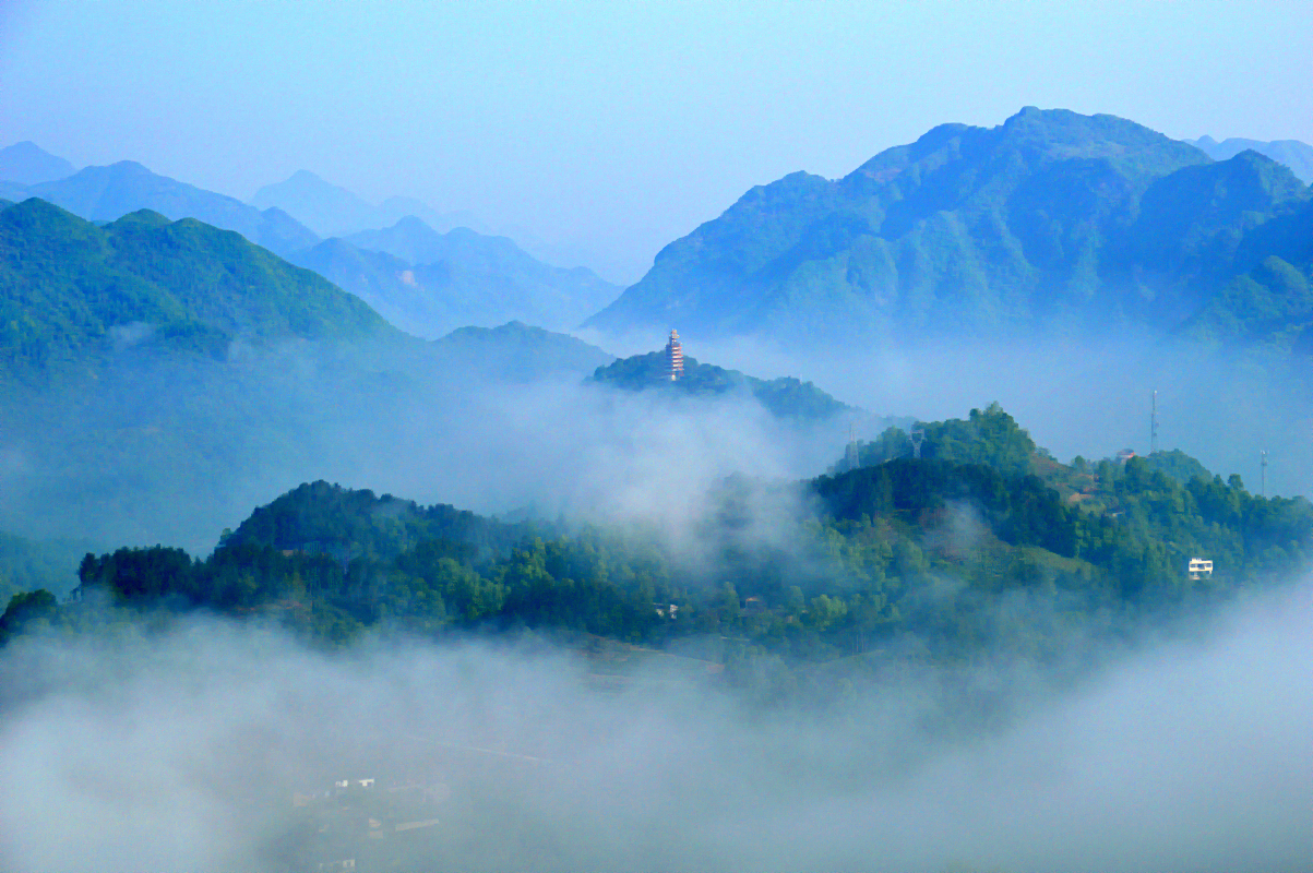 DSC_6739_副本1.JPG