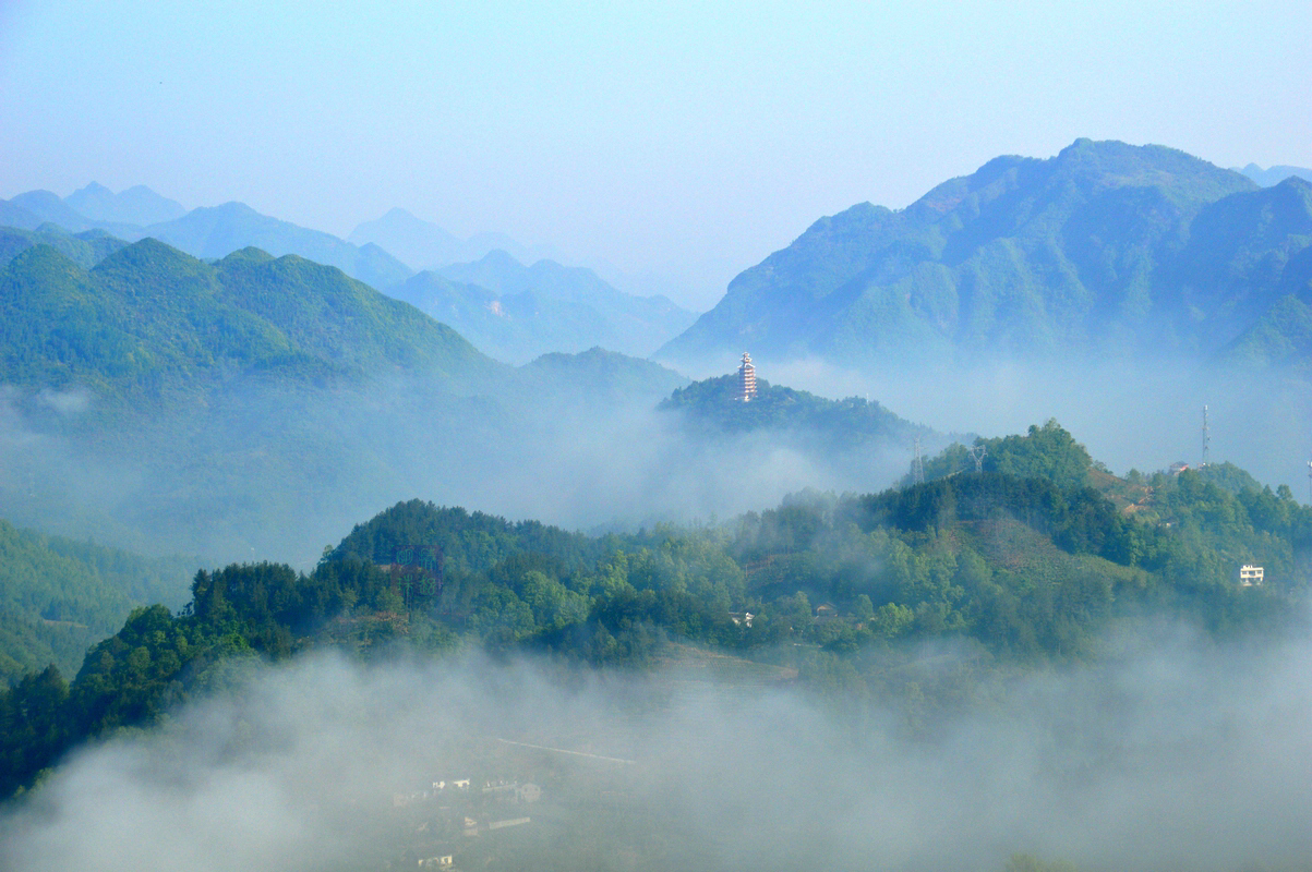 DSC_6741_副本.JPG