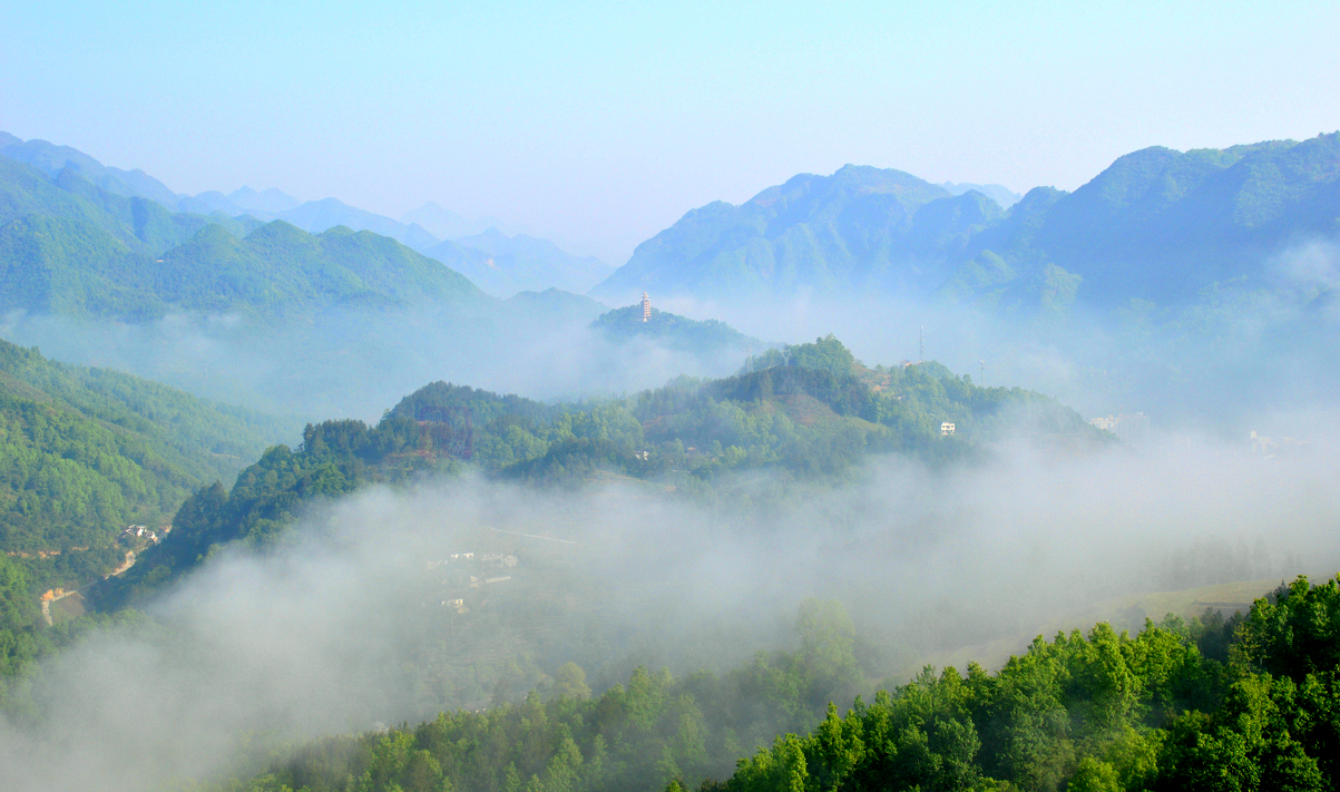 DSC_6742_副本.JPG