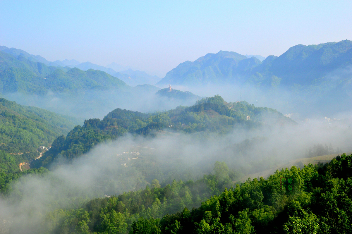 DSC_6743_副本.JPG