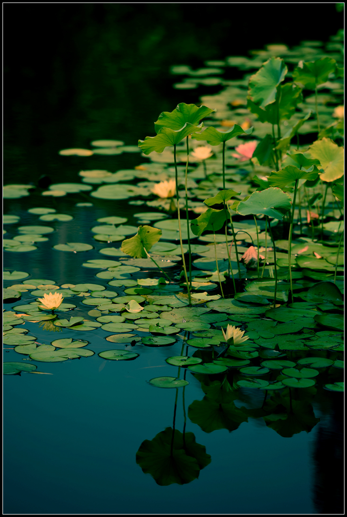 DSC_1002_副本.jpg