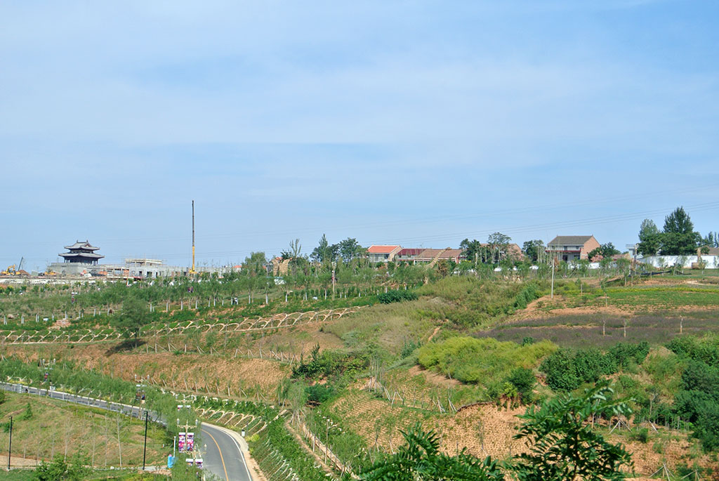 DSC_8668副本.jpg