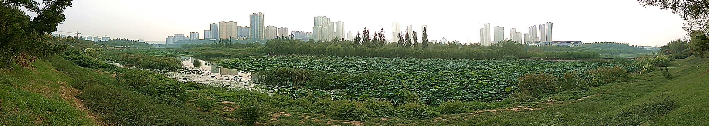 PANO_20160915_170858.jpg