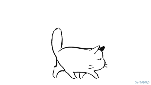 95c715931fb1f8b411db5a196a2329af.gif