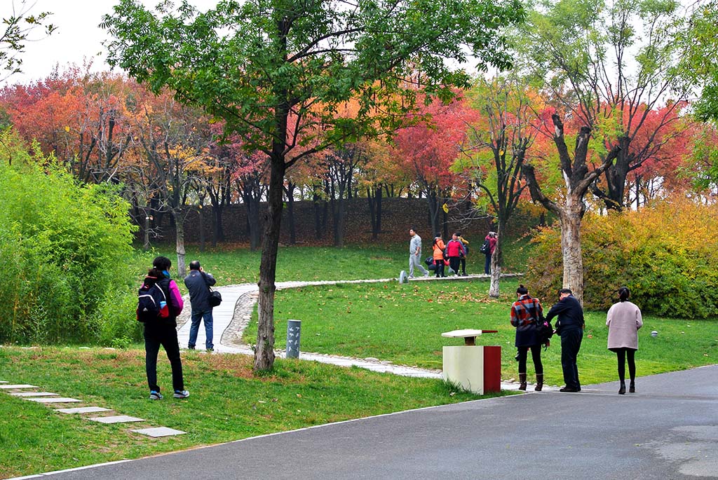 DSC_9265副本.jpg