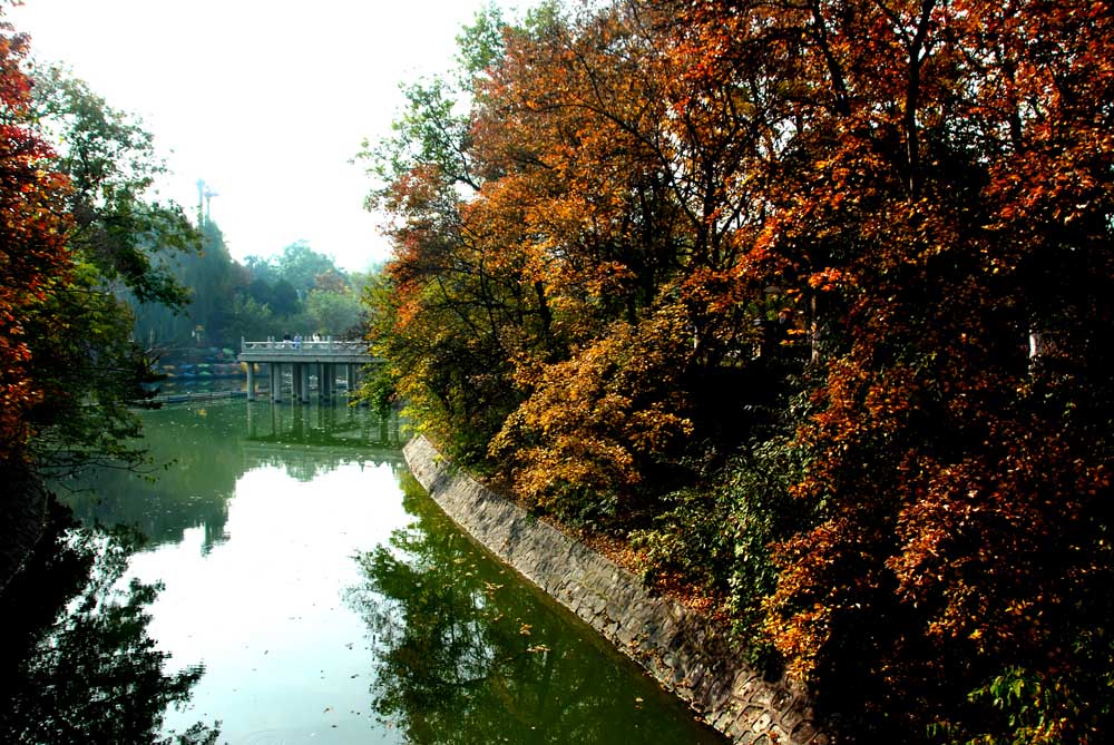 公园秋色 (4).jpg