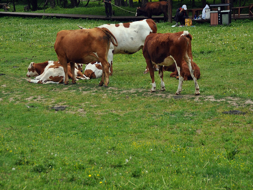 DSC_0271_conew1.jpg
