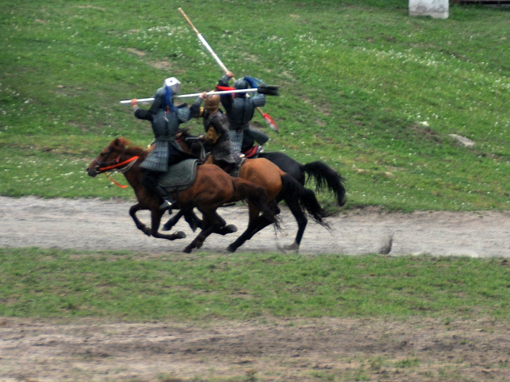 DSC_0407_conew1.jpg