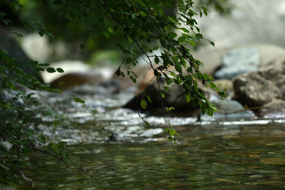 D4A_6819.jpg