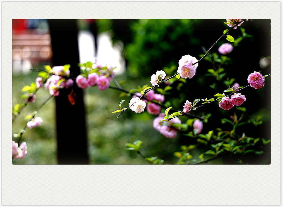 dsc03366_副本.jpg