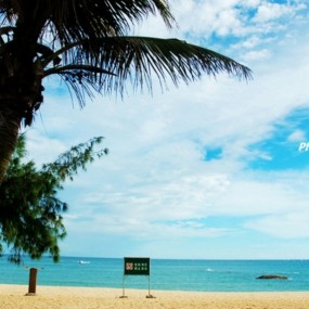 飞豹旅洋之红海湾