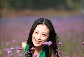 阳光下花丛