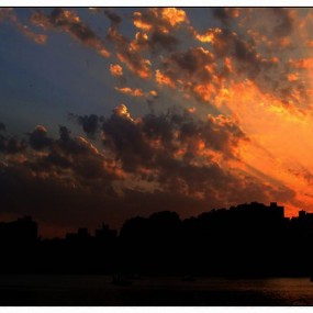 夕阳红