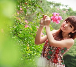 深秋的花