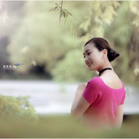 夏的梦幻