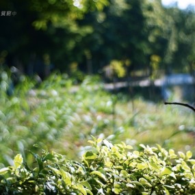 NEX6拍校园 一