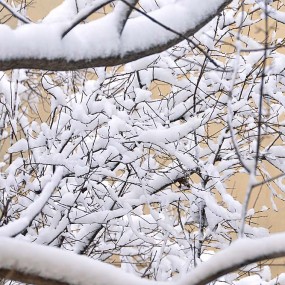 窗外小区雪景