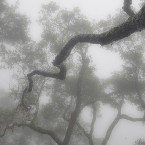 塔云山