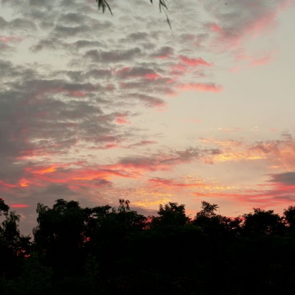 雨后夕阳 美
