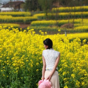 花海之花（二）