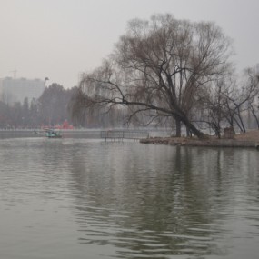 公园小景