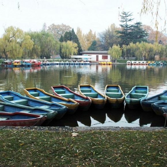 秋末初冬兴庆宫