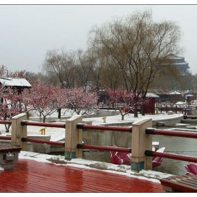 大唐芙蓉园赏雪随拍